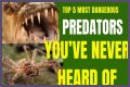 10 Terrifying And Deadly Predators You've Never Heard Of