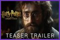 Harry Potter and The Cursed Child: The Sequel