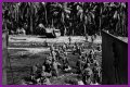 WWII's Most Daring Raids - Smithsonian Channel